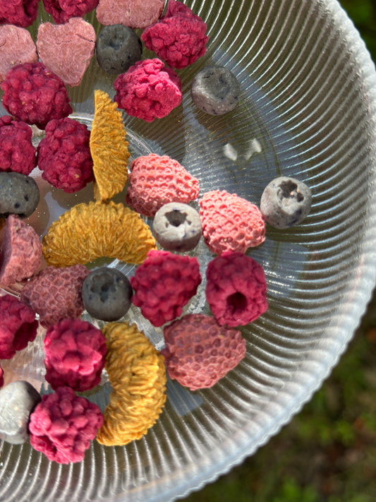 Fruitie Cuties - Chicken and Goat Cheese Crunchies