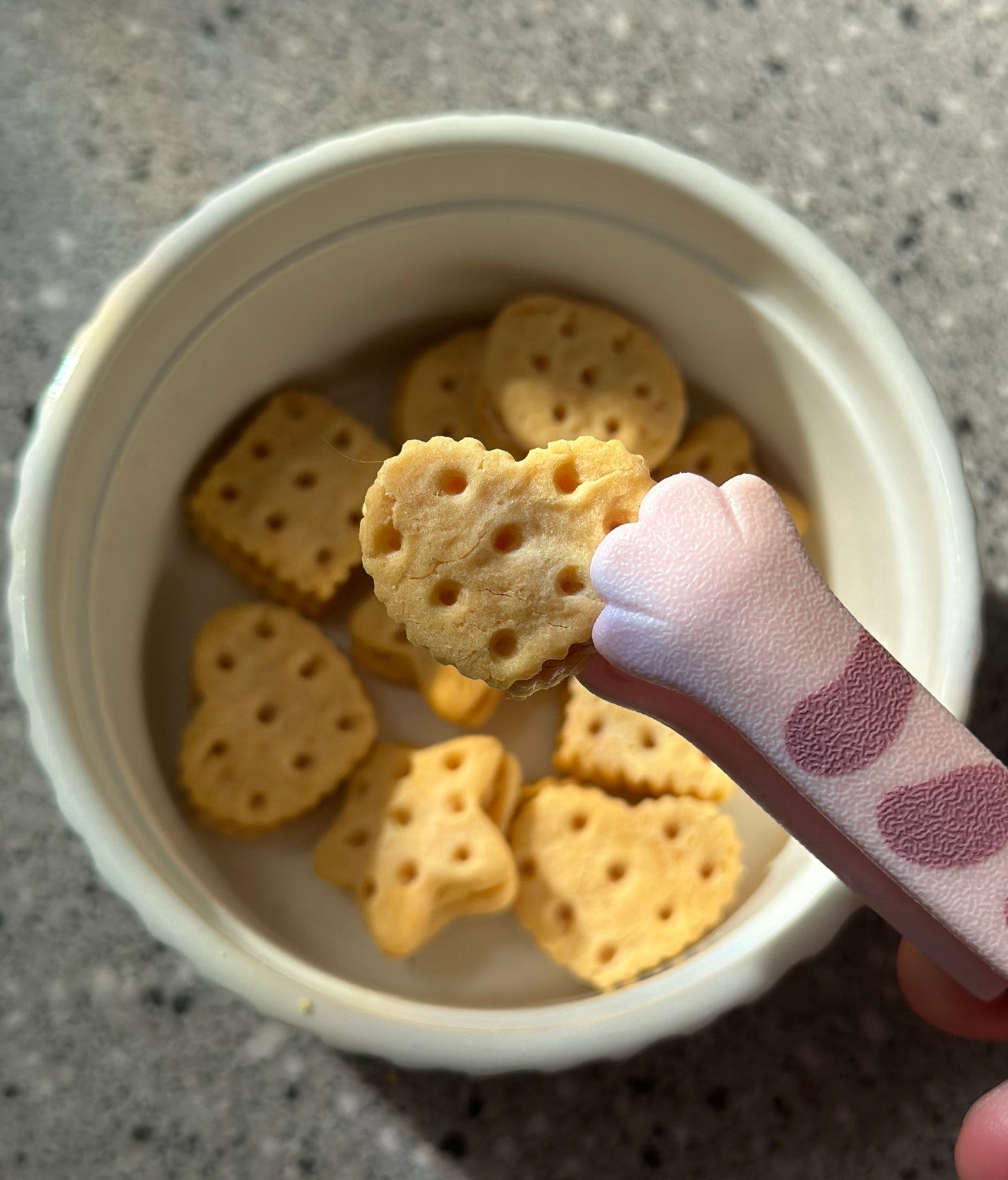 Cheezy Paws– Chicken & Cheese Crunchies