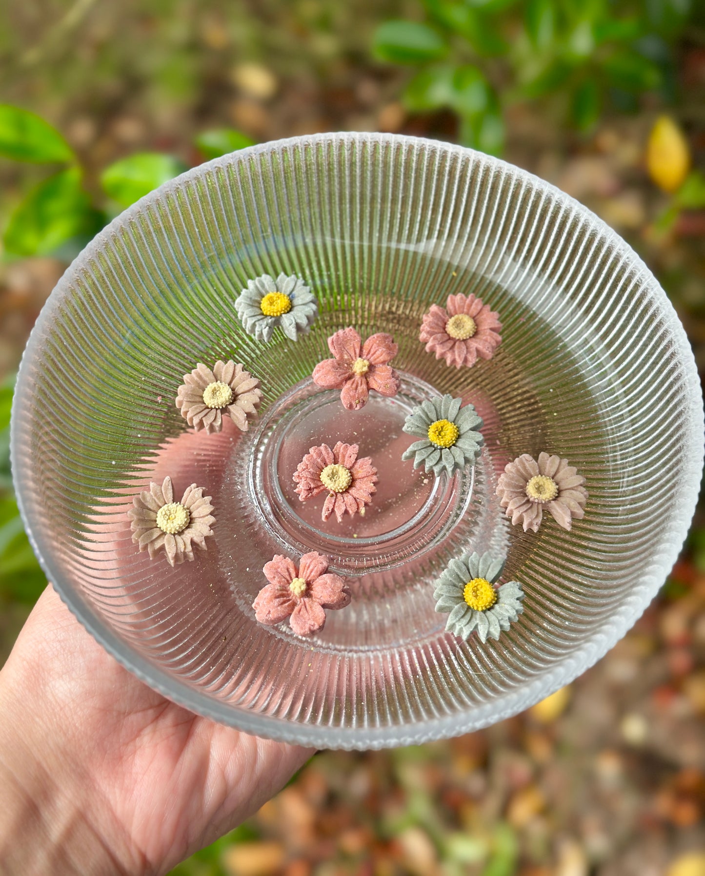 Blossom Bites - Chicken and Goat Cheese