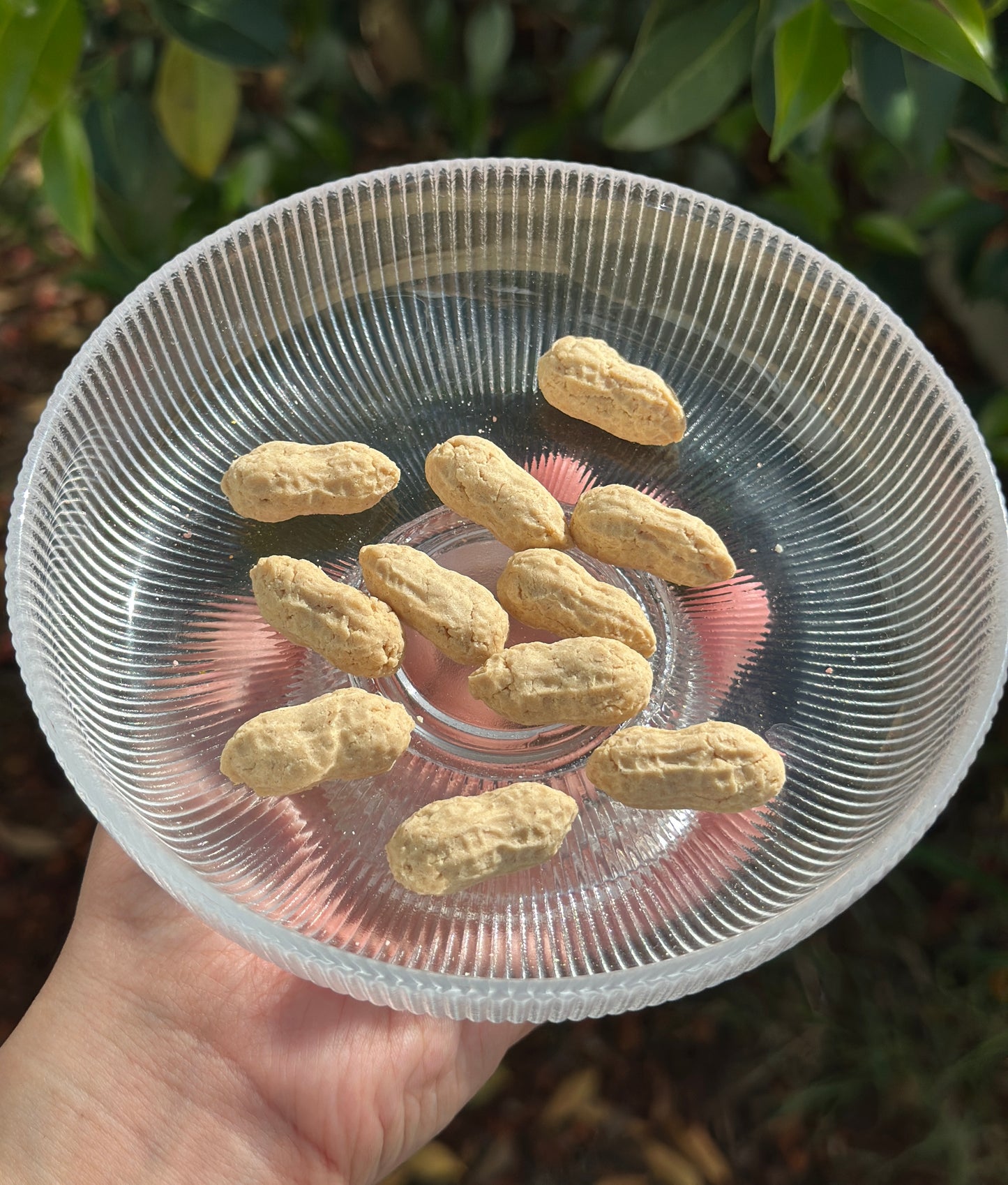 Peanut bites