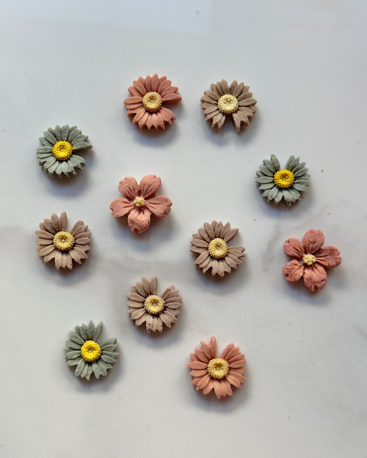 Blossom Bites - Chicken and Goat Cheese